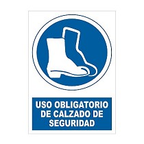 Sealizaciones de obligacin