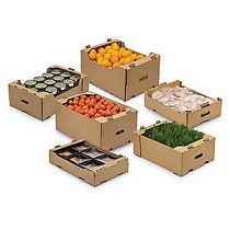 Bandejas de cartn automontables