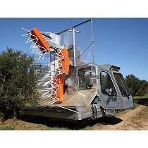 Recolectoras en contnuo de aceitunas