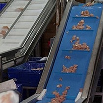 Bandas transportadoras termosoldables