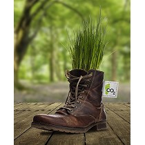 Biotecnologa y medio ambiente aplicada al sector de calzado profesional