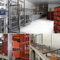 Lnea de lavado de jaulas y carros avcolas