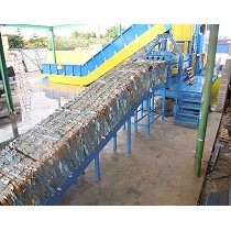 Prensas para papel y cartn