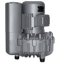 Bombas de vaco de canal lateral