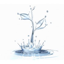 Slices pirognicas en sistema acuoso de fcil utilizacin