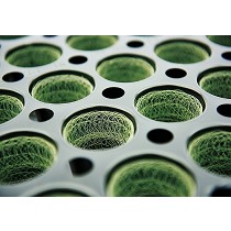 Malla para maceta biodegradable