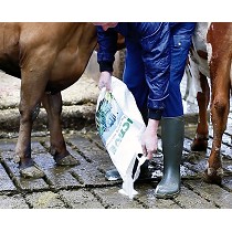 Aditivo para la gestin de purines