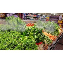 Nebulizacin frutas y verduras