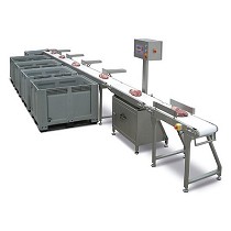 Cintas transportadoras clasificadoras de productos