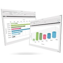 Software de gestin de empresa