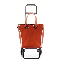 Carros y bolsas para la compra