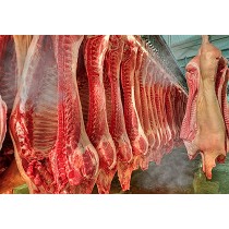 Sistema de nebulizacin