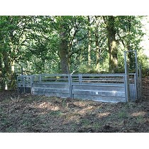 Mangas de cochino ibrico