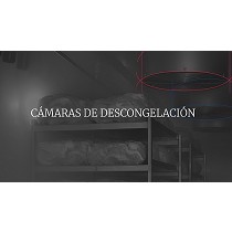 Cmaras de descongelacin