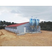 Granjas para el engorde de cerdos