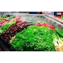 Sistema de nebulizacin