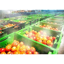 Sistemas de nebulizacin