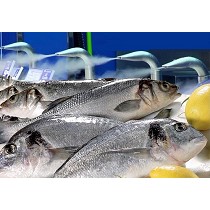 Sistemas de nebulizacin