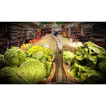 Sistema de Nebulizacin