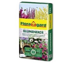 Substrato universal internacional