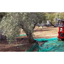 Brazo telescpico vibrador para aceitunas