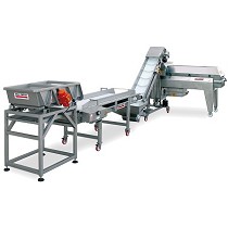 Lneas de seleccin de la uva