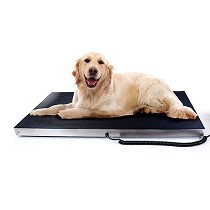 Bsculas para veterinaria