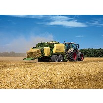 Empacadoras gigantes