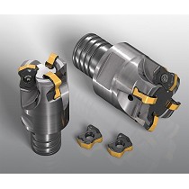 Plaquitas helicoidales