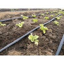 Cinta de goteo con laberinto continuo