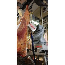 Robot de esquinado vacuno