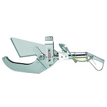 Cizalla hueso puente