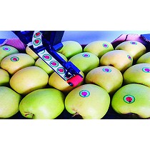 Dispensadoras de etiquetas