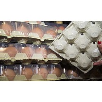 Estuches para huevos