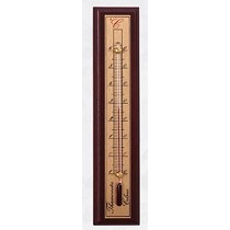 Termmetro atmosfrico