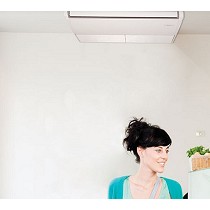 Horizontales de techo