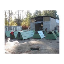 Parideras para porcino