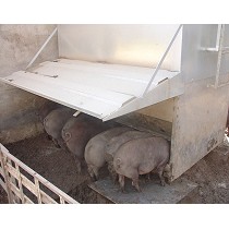 Tolvas para porcino