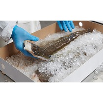 Envases para pescado