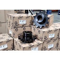 Pion lateral y central