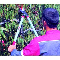 Tijera cortadora de ramas