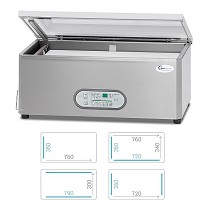 Envasadora al vaco de sobremesa