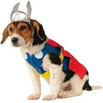 Disfraz Thor Mascota