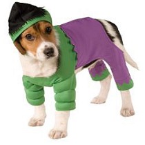 Disfraz Hulk Mascota