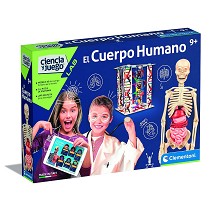 El cuerpo Humano