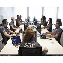 Servicios de vigilancia y proteccin