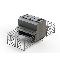 Tolvas terneros y vacas de cuernos