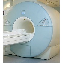 Termoplsticos radiopacos