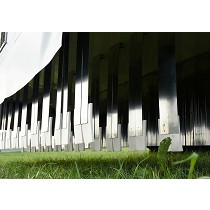 Control elctrico de malezas