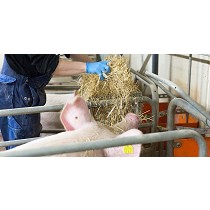 Accesorios para las parideras